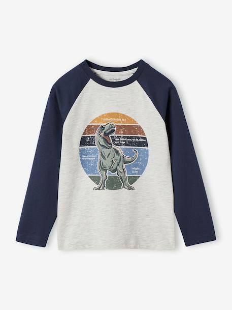 T-shirt motif graphique garçon manches raglan blanc chiné+kaki+lichen+noix de pécan - vertbaudet enfant 