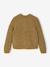Knitted Cardigan olive - vertbaudet enfant 
