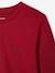 Long Sleeve Colour Top for Boys anthracite+Blue+fir green+Green+pale yellow+red+yellow - vertbaudet enfant 