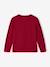 T-shirt garçon unis manches longues personnalisable anthracite+BLEU+jaune+jaune pâle+rouge+vert grisé+vert sapin - vertbaudet enfant 