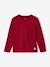 Long Sleeve Colour Top for Boys anthracite+Blue+fir green+Green+pale yellow+red+yellow - vertbaudet enfant 