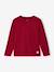 Long Sleeve Colour Top for Boys anthracite+Blue+fir green+Green+pale yellow+red+yellow - vertbaudet enfant 