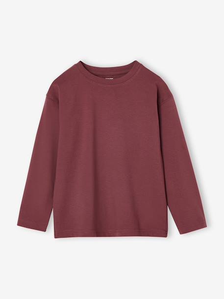 Lot 3 tee-shirts garçon unis terracotta - vertbaudet enfant 