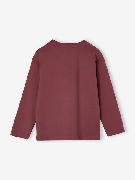 Lot 3 tee-shirts garçon unis terracotta - vertbaudet enfant 