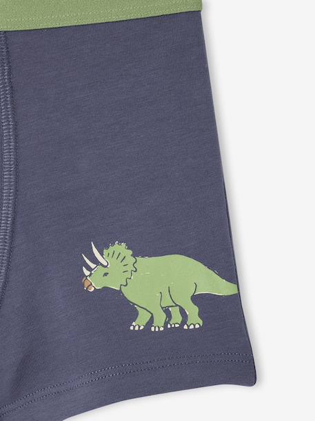 Pack of 5 Dinosaur Boxer Shorts for Boys slate blue - vertbaudet enfant 
