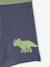 Pack of 5 Dinosaur Boxer Shorts for Boys slate blue - vertbaudet enfant 