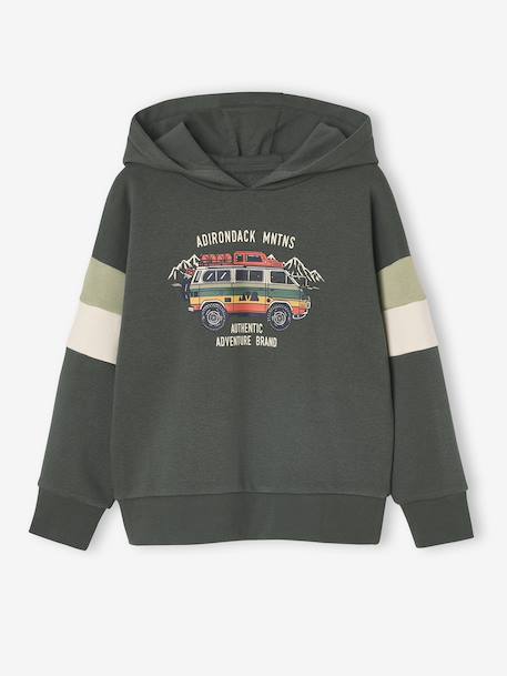 Hooded Sweatshirt with Print lichen+pecan nut - vertbaudet enfant 
