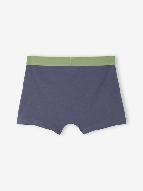 Lot 5 Boxers Garçon Dinosaures bleu ardoise - vertbaudet enfant 
