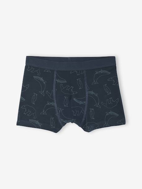 Pack of 7 Striped & Bear Print Boxers for Boys green - vertbaudet enfant 
