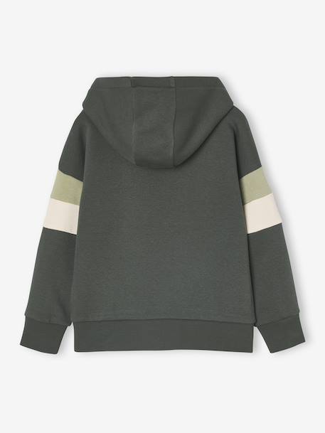 Hooded Sweatshirt with Print lichen+pecan nut - vertbaudet enfant 