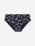 Pack of 7 Dino Briefs for Boys navy blue - vertbaudet enfant 