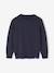 Basic Round-Neck Long-Sleeved Jumper for Boys navy blue+striped blue - vertbaudet enfant 