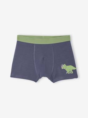 Garçon-Lot 5 Boxers Garçon Dinosaures