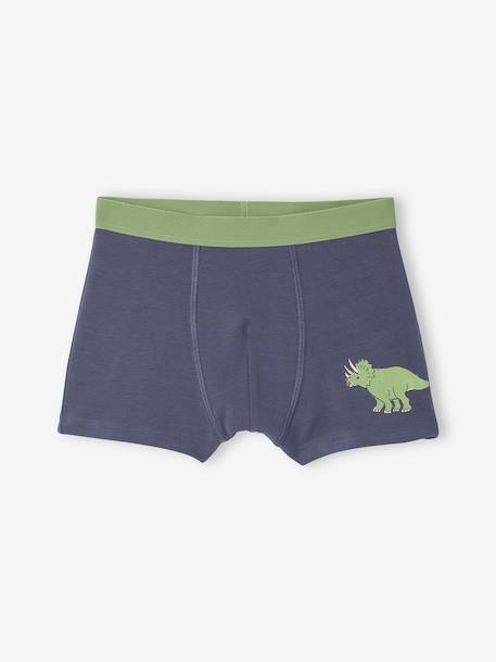 Lot 5 Boxers Garçon Dinosaures bleu ardoise - vertbaudet enfant 
