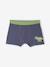 Lot 5 Boxers Garçon Dinosaures bleu ardoise - vertbaudet enfant 