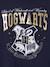 Sportswear set sweatshirt + trouser HARRY POTTER® in fleece navy blue - vertbaudet enfant 