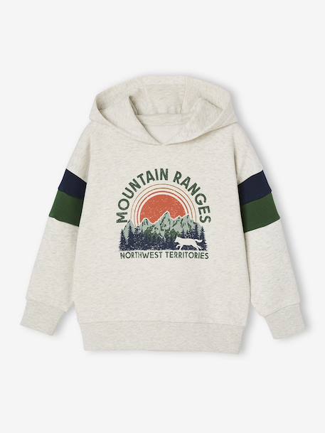 Sweat garçon à capuche motif placé blanc+blanc chiné+marine+noix de pécan+vert sauge - vertbaudet enfant 
