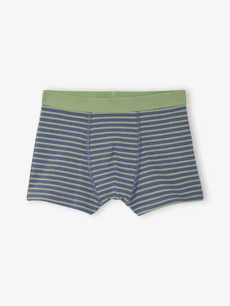 Pack of 5 Dinosaur Boxer Shorts for Boys slate blue - vertbaudet enfant 