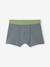 Pack of 5 Dinosaur Boxer Shorts for Boys slate blue - vertbaudet enfant 