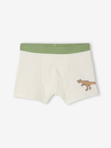 Pack of 5 Dinosaur Boxer Shorts for Boys slate blue - vertbaudet enfant 