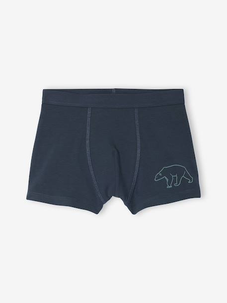 Pack of 7 Striped & Bear Print Boxers for Boys green - vertbaudet enfant 