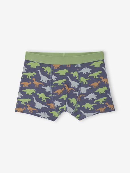 Pack of 5 Dinosaur Boxer Shorts for Boys slate blue - vertbaudet enfant 