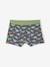 Pack of 5 Dinosaur Boxer Shorts for Boys slate blue - vertbaudet enfant 