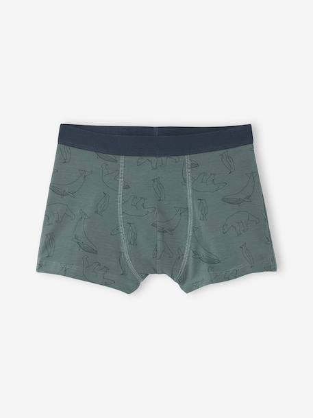 Pack of 7 Striped & Bear Print Boxers for Boys green - vertbaudet enfant 