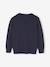 Basic Round-Neck Long-Sleeved Jumper for Boys navy blue+striped blue - vertbaudet enfant 