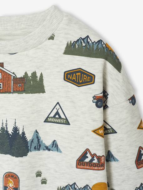 Printed Sweatshirt for Boys marl beige+medium blue+sage green - vertbaudet enfant 