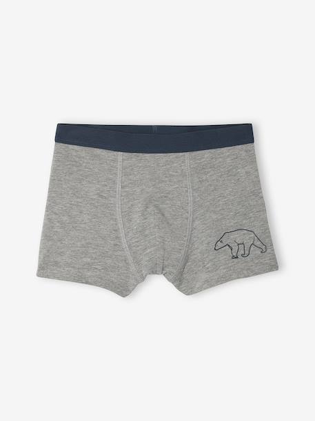 Pack of 7 Striped & Bear Print Boxers for Boys green - vertbaudet enfant 