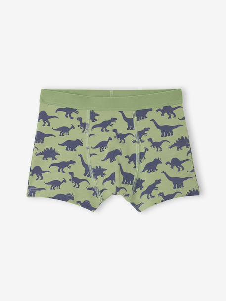 Pack of 5 Dinosaur Boxer Shorts for Boys slate blue - vertbaudet enfant 