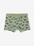Pack of 5 Dinosaur Boxer Shorts for Boys slate blue - vertbaudet enfant 