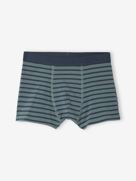 Pack of 7 Striped & Bear Print Boxers for Boys green - vertbaudet enfant 