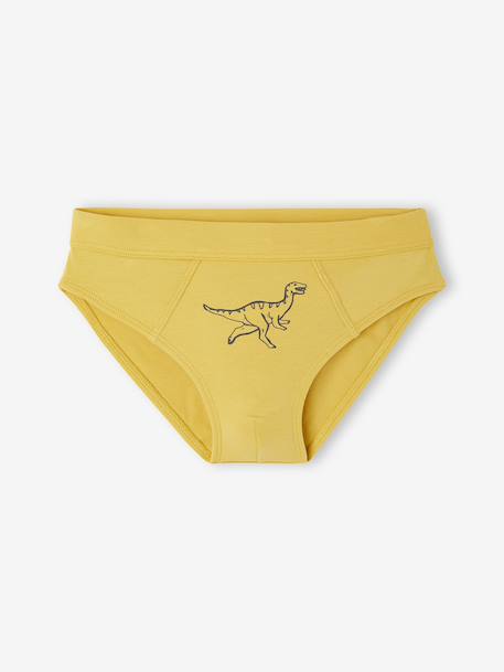 Pack of 7 Dino Briefs for Boys navy blue - vertbaudet enfant 