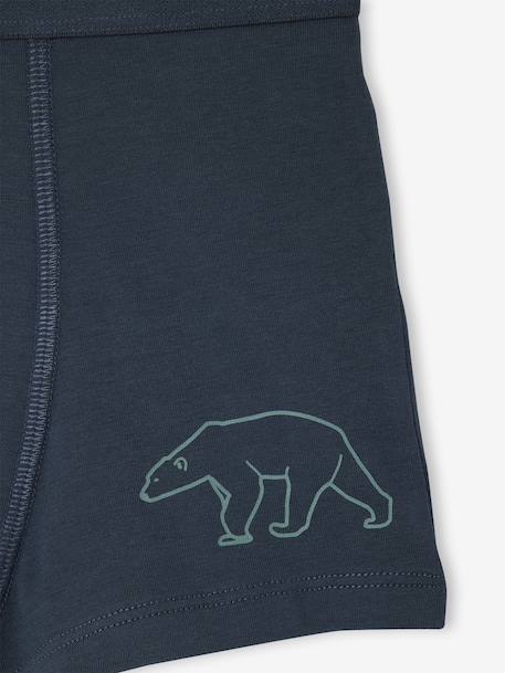 Pack of 7 Striped & Bear Print Boxers for Boys green - vertbaudet enfant 
