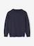 Basic Round-Neck Long-Sleeved Jumper for Boys navy blue+striped blue - vertbaudet enfant 