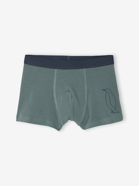 Pack of 7 Striped & Bear Print Boxers for Boys green - vertbaudet enfant 
