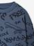 Sweat imprimé garçon beige chiné+bleu moyen+vert sauge - vertbaudet enfant 