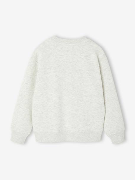 Sweatshirt with Print & Round Neckline for Boys marl beige - vertbaudet enfant 