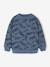 Sweat imprimé garçon beige chiné+bleu moyen+vert sauge - vertbaudet enfant 