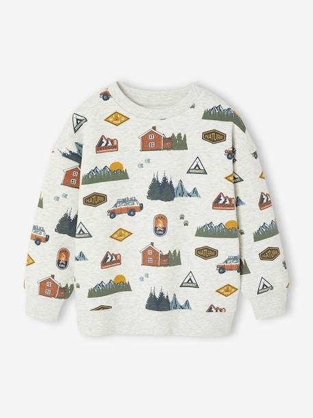 Sweat imprimé garçon beige chiné+bleu moyen+vert sauge - vertbaudet enfant 