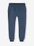 Ensemble Sport Garçon Sweat Capuche imprimé + Jogging Uni bleu pétrole+lichen - vertbaudet enfant 