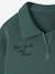 Embroidered Funnel-Neck Sweatshirt for Boys green - vertbaudet enfant 