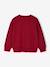 Sweatshirt with Chest Motif for Boys green+pistachio+pomegranate+red - vertbaudet enfant 