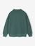 Embroidered Funnel-Neck Sweatshirt for Boys green - vertbaudet enfant 
