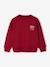 Sweatshirt with Chest Motif for Boys green+pistachio+pomegranate+red - vertbaudet enfant 