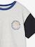 Short-Sleeved T-Shirt with Contrasting Sleeves, for Boys marl grey - vertbaudet enfant 