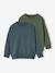 Lot 2 Sweats Unis Manches Longues Garçon vert d'eau - vertbaudet enfant 