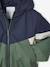 Colourblock Windcheater Jacket for Boys BEIGE DARK SOLID WITH DESIGN+green - vertbaudet enfant 